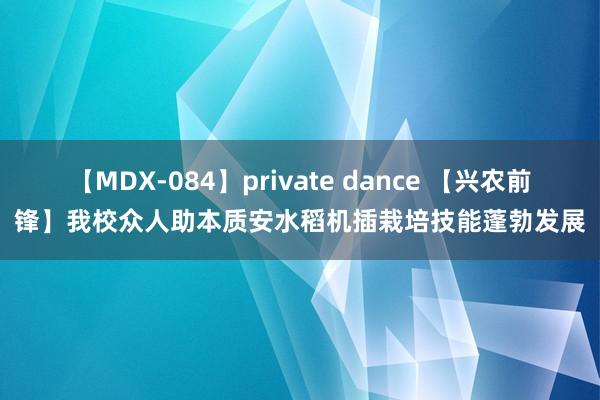 【MDX-084】private dance 【兴农前锋】我校众人助本质安水稻机插栽培技能蓬勃发展