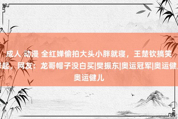 成人 动漫 全红婵偷拍大头小胖就寝，王楚钦搞笑修起，网友：龙哥帽子没白买|樊振东|奥运冠军|奥运健儿
