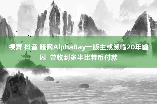 裸舞 抖音 暗网AlphaBay一版主或濒临20年幽囚  曾收到多半比特币付款