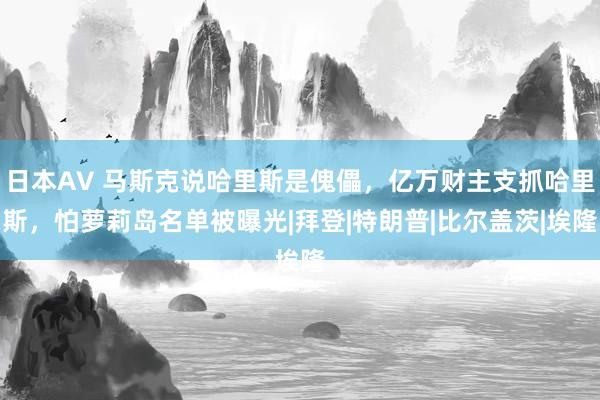 日本AV 马斯克说哈里斯是傀儡，亿万财主支抓哈里斯，怕萝莉岛名单被曝光|拜登|特朗普|比尔盖茨|埃隆