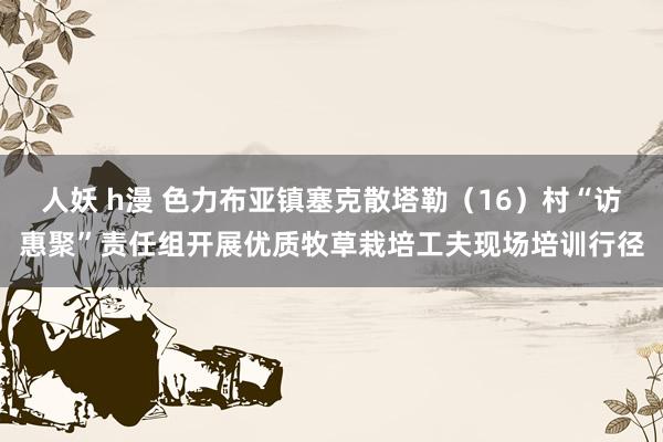 人妖 h漫 色力布亚镇塞克散塔勒（16）村“访惠聚”责任组开展优质牧草栽培工夫现场培训行径