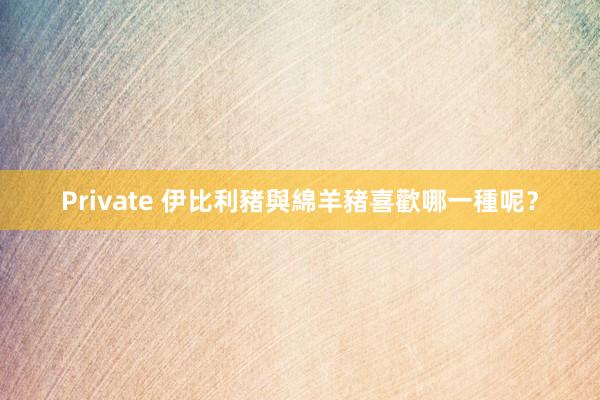 Private 伊比利豬與綿羊豬　喜歡哪一種呢？
