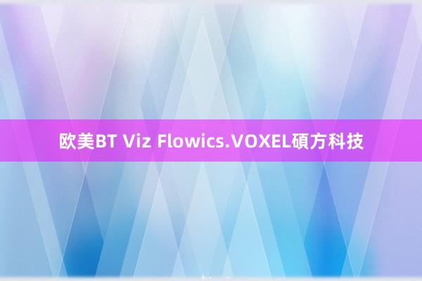 欧美BT Viz Flowics.VOXEL碩方科技