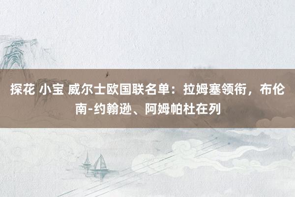 探花 小宝 威尔士欧国联名单：拉姆塞领衔，布伦南-约翰逊、阿姆帕杜在列